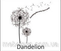 Novelty Dandelion