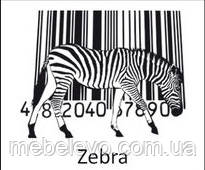 Novelty Zebra