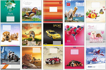 Зошит 48арк. клітина