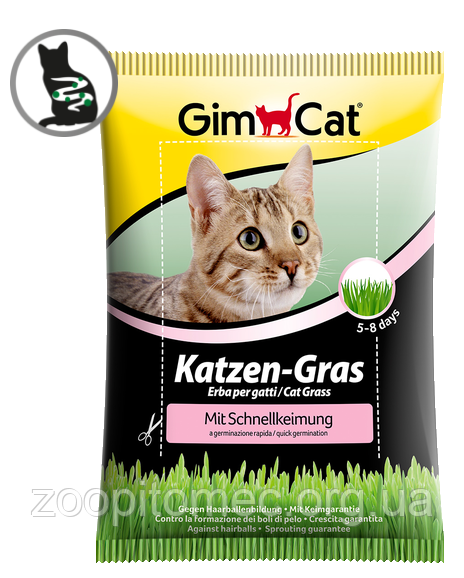Трава для котів GimСet Gimborn (Джимпет Джимборн), 100г