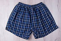 Чоловічі шорти в клітинку великого розміру (Льон)