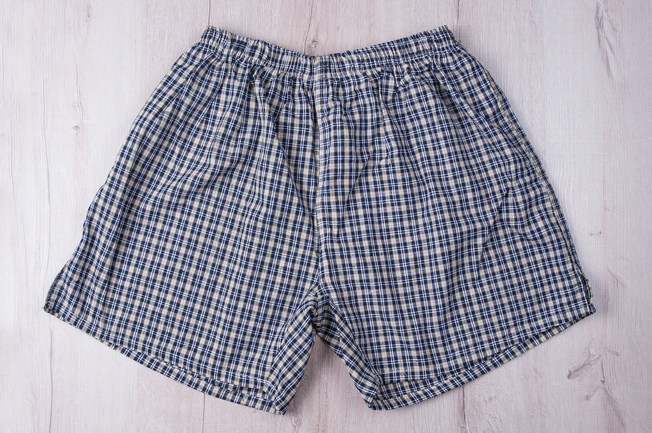Чоловічі шорти в клітинку великого розміру (Льон) - фото 1 - id-p716100818