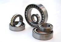 Дворядні підшипники роликові