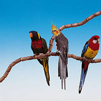 Модульна жердинка Flex 4192 d16 мм., фото 2