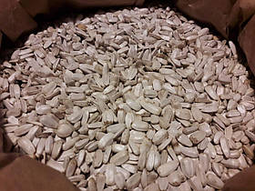 Біле насіння соняшника beduco Бельгія, (Білі насіння)