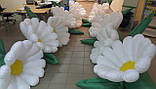 Надувні квіти (пневмоцвіти) Ромашки 5 м., фото 2