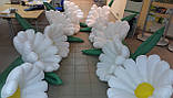 Надувні квіти (пневмоцвіти) Ромашки 5 м., фото 6