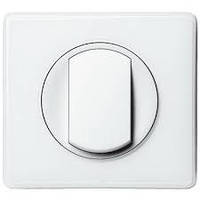 Legrand серія Celiane (білий)