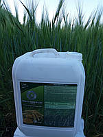 Мікро-Мінераліс (Зернові). "Мікро-Мінераліс" (Зернові), ЖК. Тара 10., фото 10