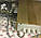Блок живлення та керування Rittal для Dorma Hueppe Moveo 230 / 48 В до мобільних стін, фото 2