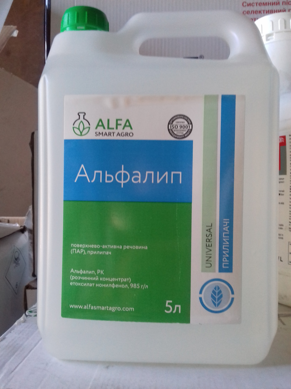 Прилипач Альфалип