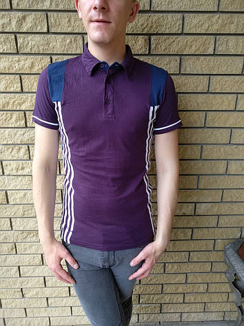 Футболка чоловіча поло коттонова брендова WEAWER JEANS, фото 1