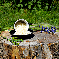 Єгипетський рис камоліно