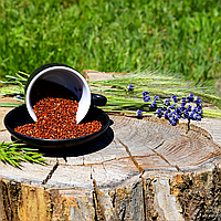 Кіноа червона