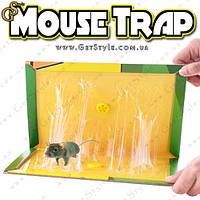 Пастка для гризунів — "Mouse Trap" — 2 шт.