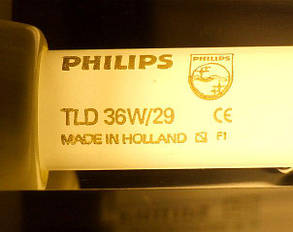 Люмінесцентна лампа PHILIPS TL-D 36W-1/29, T8