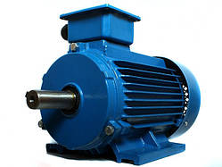 Електродвигун 0,18 кВт АІР63А6/АІР 63 А6/ 1000 об.хв