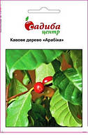 Семена кофейного дерева Арабика 1 г, Hем Zaden