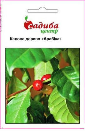 Насіння кавового дерева Арабіка 1 г, Нім Zaden, фото 1