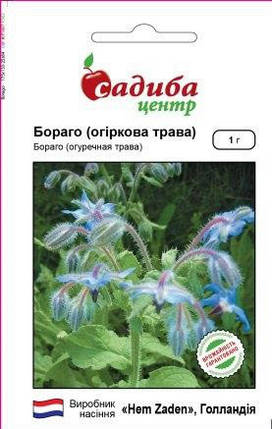 Насіння бораго (огіркова трава) 1 г, Hem Zaden, фото 1