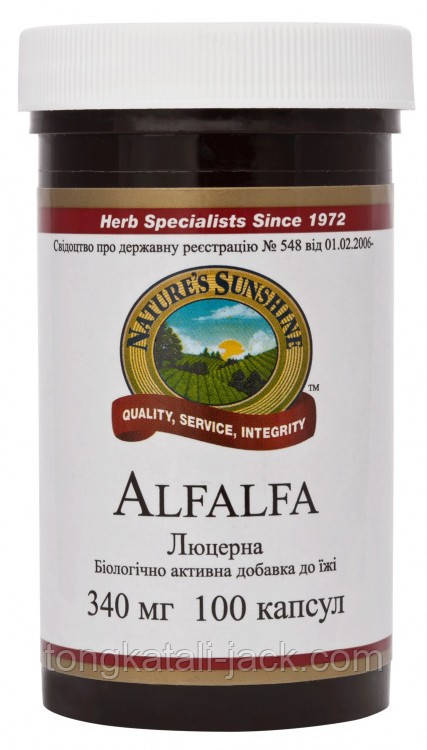 Люцерна (Alfalfa)