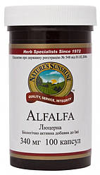 Люцерна (Alfalfa)