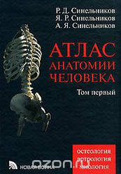 Атлас анатомії людини. У 4 томах. Том 1. Навчання про кістки, з'єднання кісток і м'язів