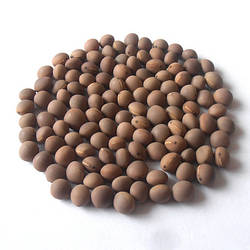 Насіння викі озиму ПОЛТАВНЕ 77 еліту 1 репродукція