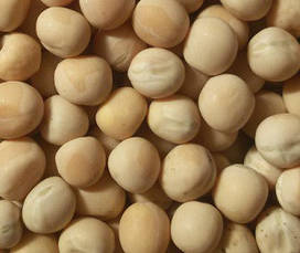 Насіння гороху