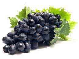 Темні сорти винограду