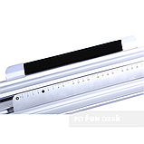 Бар'єр-органайзер SS12D Blue, фото 3