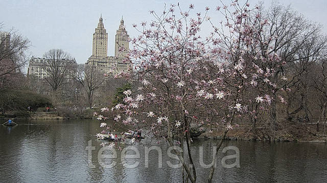 Нью-Йорк,Центральный парк,дома Dakota,Langham,San Remo Раздел Спортивные брюки - фото teens.ua - Нью-Йорк,Центральный парк,дома Dakota,Langham,San Remo