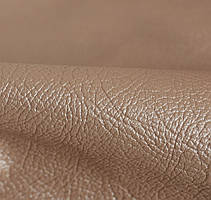 Шкірзам у Дніпропетруванні Valencia Pearl