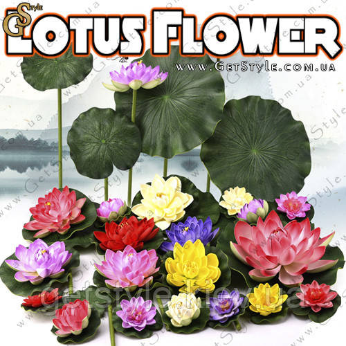 Декоративна квітка Лотоса — "Lotus Flower" — 5 шт.