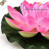 Декоративна квітка Лотоса — "Lotus Flower" — 5 шт., фото 2