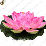 Декоративна квітка Лотоса — "Lotus Flower" — 5 шт., фото 4