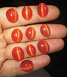 Котяче око кабашон овальної форми жовтогарячий від студії LadyStyle.Biz, фото 3