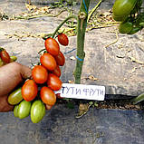 Туті-Фруті F1 (250 нас.) насіння томату Clause, фото 3