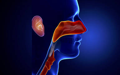 ЛОР обладнання