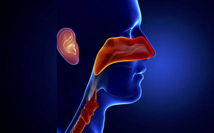 ЛОР обладнання