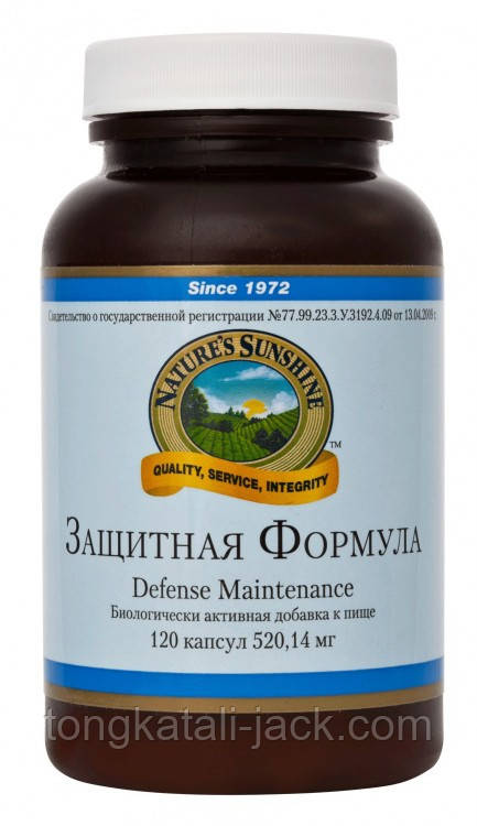 Захисна формула (Defense Maintenance)
