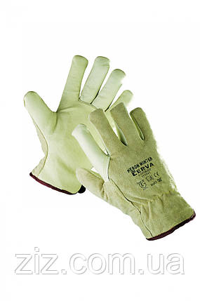 HERON WINTER 					Утеплені шкіряні рукавички, фото 2