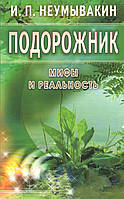 Подорожник міфи та реальність.  І. П. Неумивакін