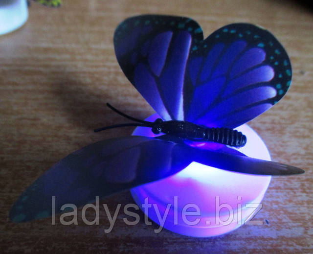 магнит украшение интерьера купить бабочку сувенир ночник