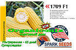 Надрання, цукрова кукурудза ФОРВАРД (1709) F1, Spark Seeds (США), фото 2