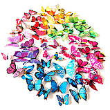 Декоративні 3D метелики на магнітах,наклейки на стіну Різний колір 12 шт, фото 2