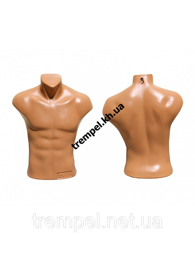 Купить Манекен Торс мужской Princ, цена 290 ₴ — Prom.ua (ID#720875325)