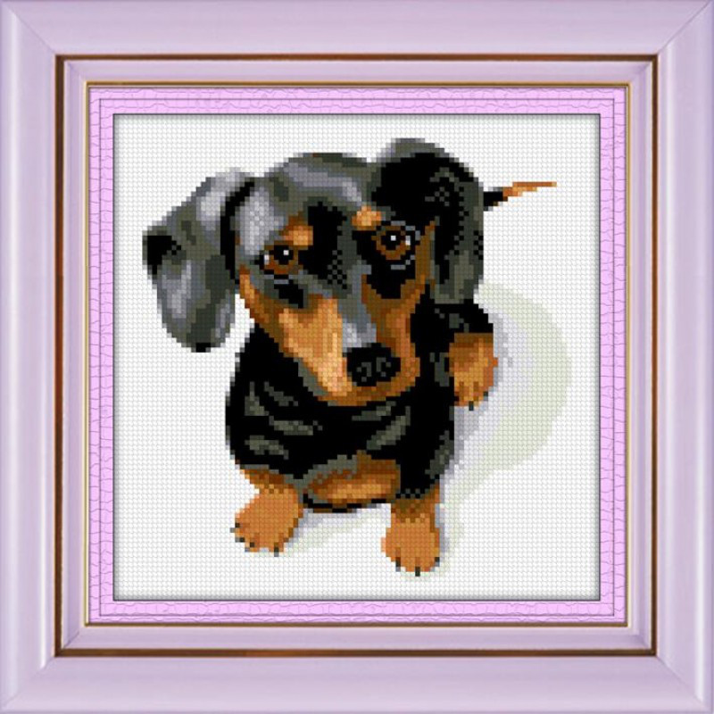 Алмазна живопис Такса Dream Art 30048 (25 x 25 см)