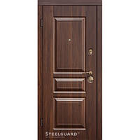 Двері Steelguard TermoScreen