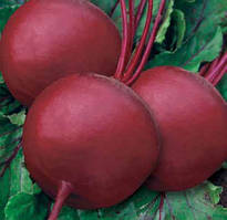 ТМ КОУЕЛ Буряк Кадет 100г